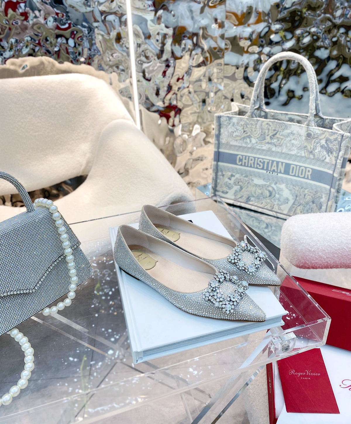 EFFLORESCENCE BALLERINAS IN BEIGE CALFSKIN WITH FULLY EMBELLISHED CRYSTALS